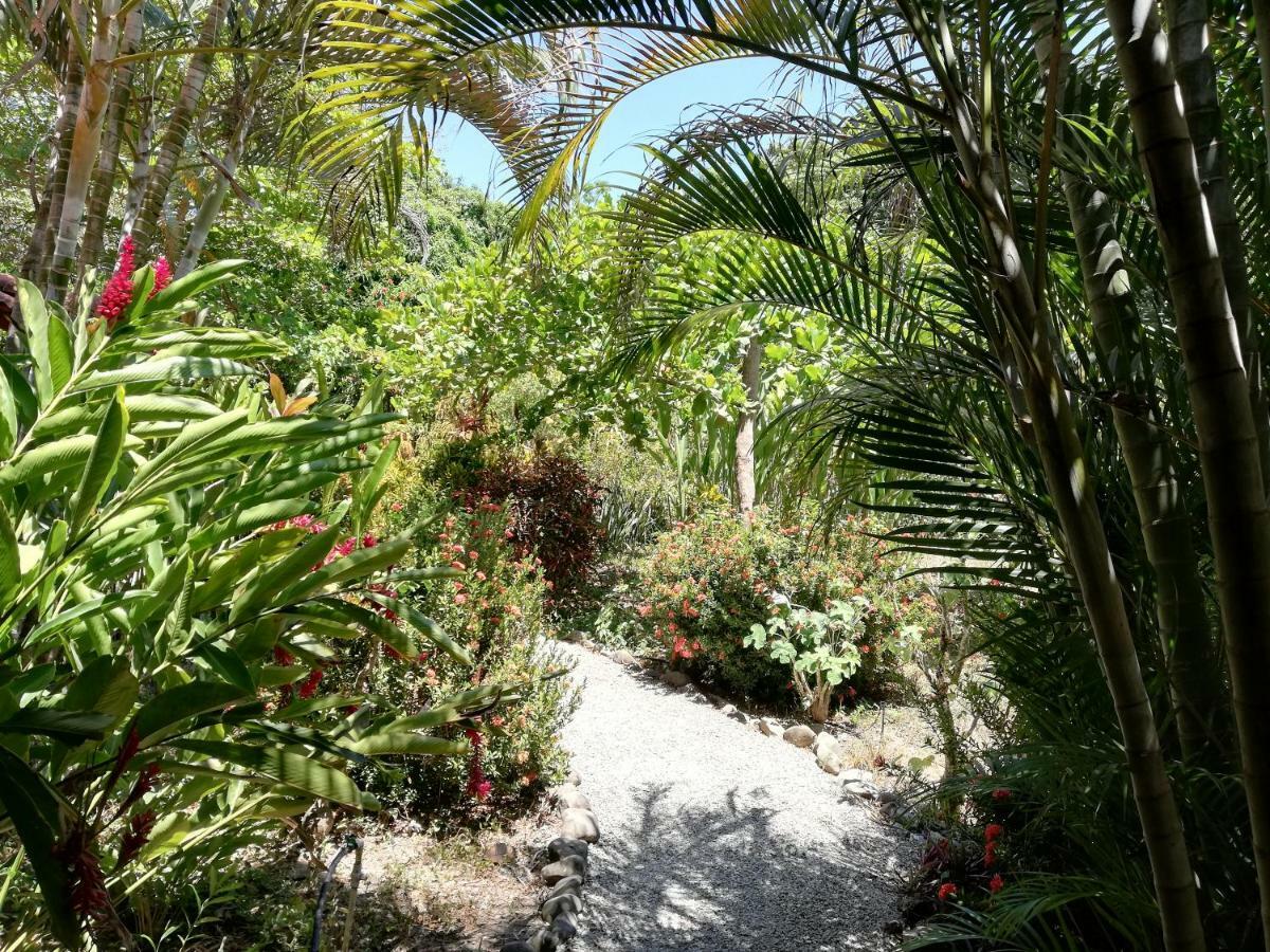 Bed and Breakfast Mundo Goub'Art Cabuya  Exterior foto