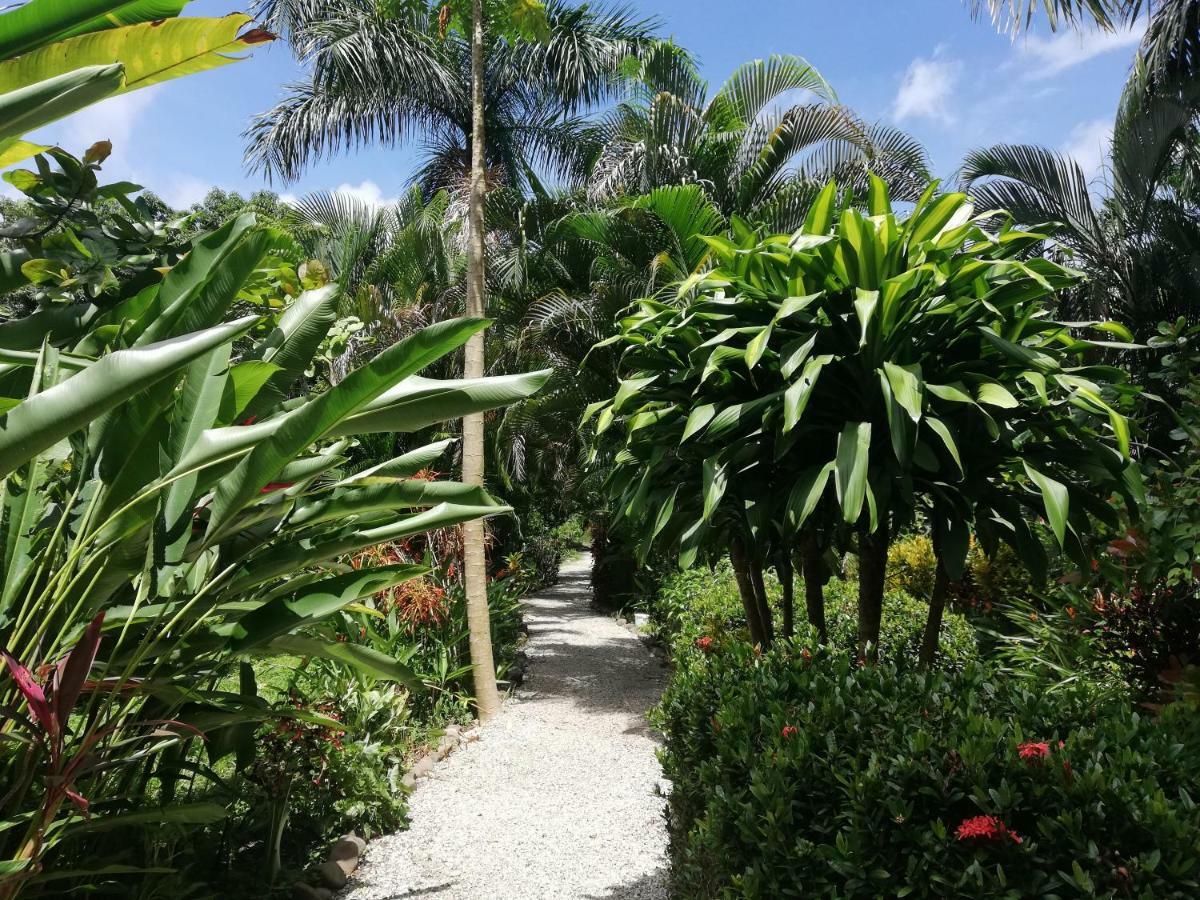 Bed and Breakfast Mundo Goub'Art Cabuya  Exterior foto
